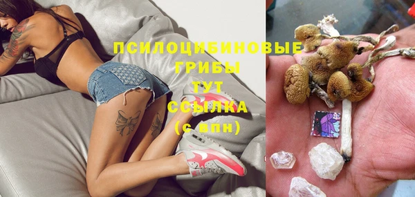 крисы Абдулино
