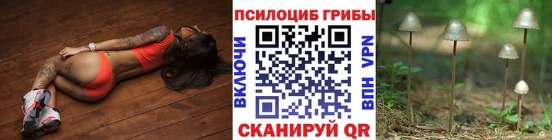 Псилоцибиновые грибы MAGIC MUSHROOMS где купить Белоусово